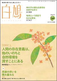 白鳩 表紙